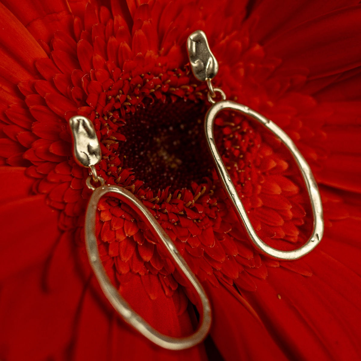 Sculpted Hoops earrings